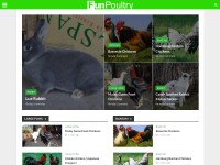 Desktop screenshot for funpoultry.com