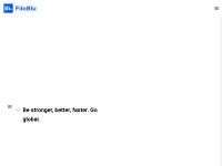 Desktop screenshot for filoblu.com