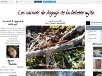 Desktop screenshot for beletteagile.com