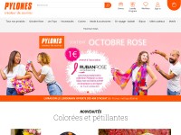 Desktop screenshot for pylones.com