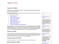 Desktop screenshot for trapezsacfiyatlari.net