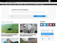 Desktop screenshot for themindcircle.com