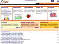 Desktop screenshot for securityspace.net