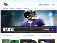 Screenshot of ravenshotselling.com