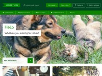 Desktop screenshot for morethan.com