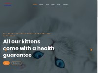 Desktop screenshot for gorgeousshorthairkittens.com