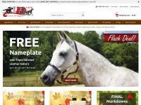 Desktop screenshot for bigdweb.com