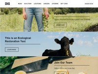 Desktop screenshot for diginn.com