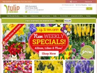 Desktop screenshot for tulipworld.com