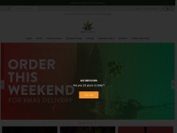 Desktop screenshot for 420science.com