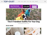 Desktop screenshot for topdust.com