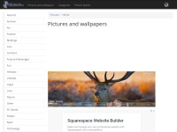 Desktop screenshot for 4everstatic.com