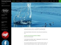 Desktop screenshot for kinesiologikerteminde.dk