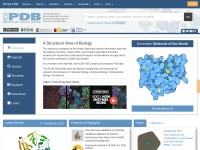Desktop screenshot for rcsb.org