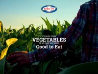 Desktop screenshot for birdseye.com