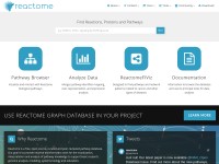 Desktop screenshot for reactome.org