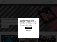 Desktop screenshot for pwc.dk