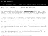 Desktop screenshot for bestbeardtrimmers2021.com