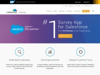 Desktop screenshot for clicktools.com