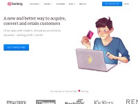 Desktop screenshot for bunting.com