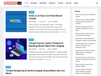 Screenshot of renoiro.com