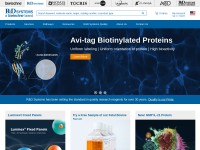 Desktop screenshot for rndsystems.com