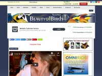 Desktop screenshot for beautyofbirds.com