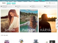 Desktop screenshot for tigoo.com