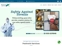 Desktop screenshot for pestronix.com