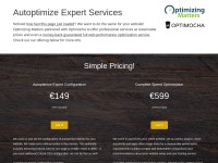 Desktop screenshot for autoptimize.com