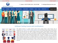 Desktop screenshot for getsoftwareservice.com