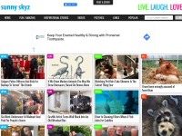 Desktop screenshot for sunnyskyz.com