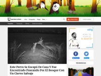 Desktop screenshot for boredpanda.es