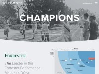 Desktop screenshot for wpromote.com