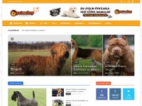 Desktop screenshot for blog.petzzshop.com