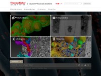 Desktop screenshot for feico.com