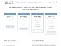 Desktop screenshot for targetedwebtraffic.com