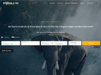 Desktop screenshot for triplinetours.com