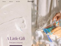 Desktop screenshot for shopflamingo.com