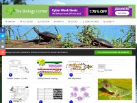 Desktop screenshot for biologycorner.com
