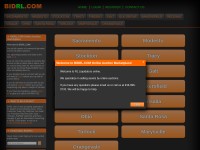 Desktop screenshot for bidrl.com