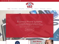 Desktop screenshot for bigfishvoice.com