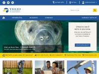 Desktop screenshot for tecoenergy.com