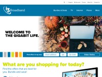 Desktop screenshot for omnilec.com