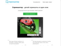 Desktop screenshot for skrinshoter.ru