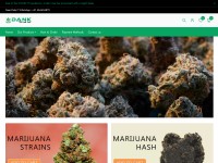 Desktop screenshot for dankpluguk.com