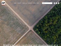 Desktop screenshot for apimagesblog.com