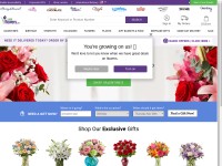 Desktop screenshot for 1800flowers-uat.net