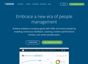 How 7geese.com looks like on a tablet such as an iPad.