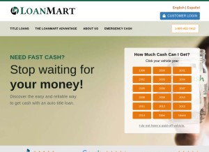 How 800loanmart.com looks like on a tablet such as an iPad.